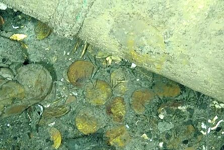 Galeón San José: billonaria demanda de cazatesoros se definirá en juicio