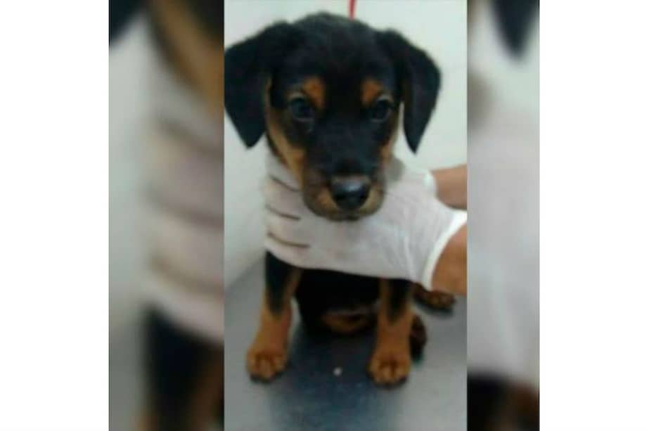 Foto: Cedida a Blu Radio por Alejandra Rodríguez