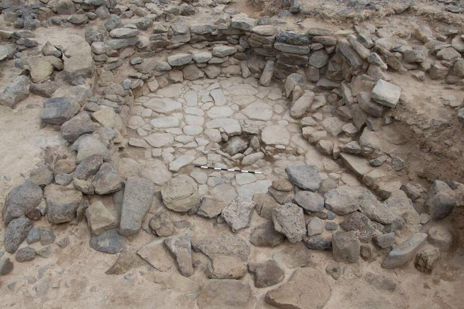 Los perros no se mantuvieron al margen del asentamiento, sino que debieron integrarse estrechamente en todos los aspectos de la vida cotidiana. / UNIVERSIDAD DE COPENHAGUE