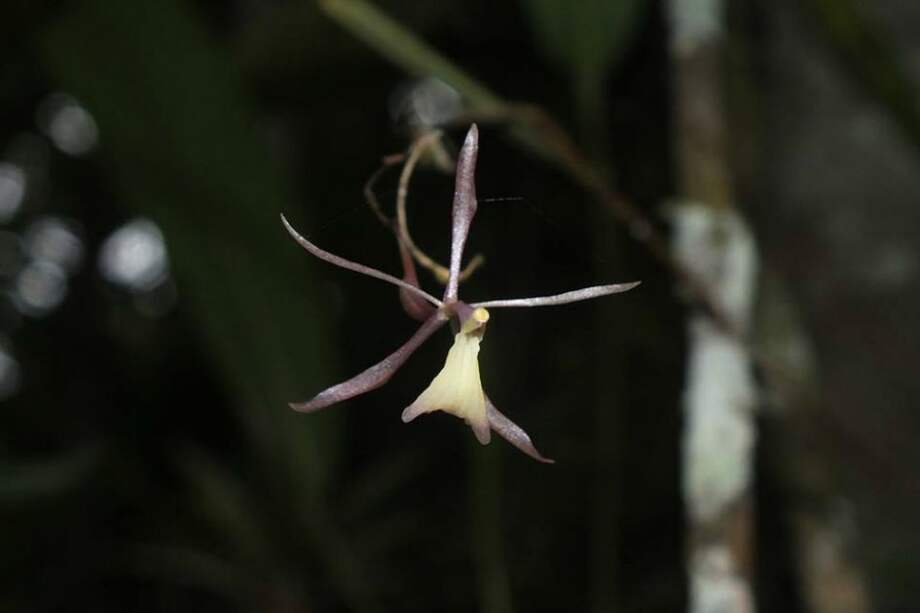 Universidad del Tolima / Universidad del Tolima