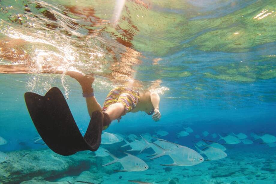 Colombia es el país más biodiverso por metro cuadrado en el mundo.