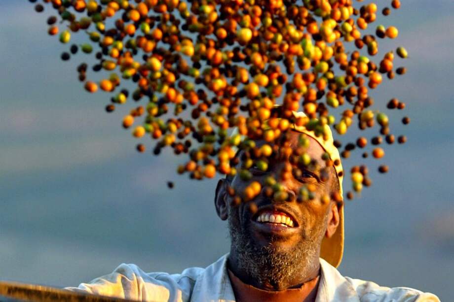 Sequía en Brasil dispara precio del café arábica