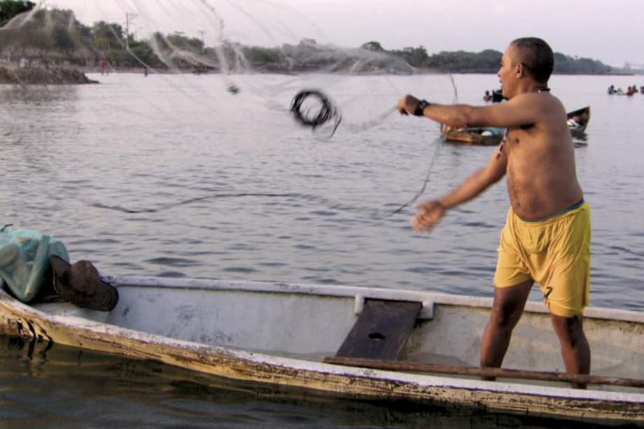 Julián Alberto Medina, el sabio pescador de Tolú