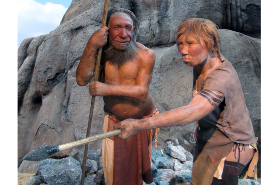 Imagen de homo neanderthalensis masculino y femenino en el Museo de Neanderthal, Mettmann, Alemania / Cortesía