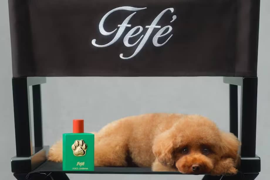 Fefé, la nueva fragancia de lujo para perros de Dolce & Gabbana.