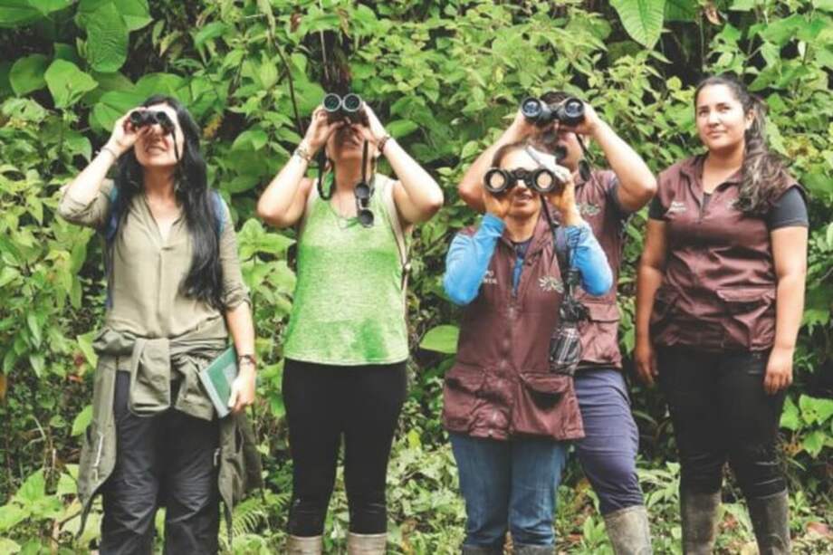 Colombia ocupa el primer puesto en el mundo en riqueza de aves, con aproximadamente 1.900 especies.