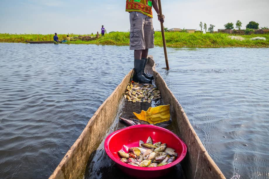 El Fondo Mundial para la Naturaleza estima que para 2030, unas cien millones de personas podrían caer en pobreza extrema debido al cambio climático y más de doscientos millones se verían desplazadas por desastres climáticos severos.
