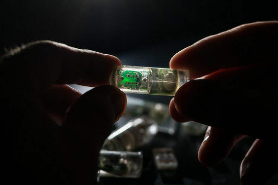 El sensor es cilíndrico y mide 3,8 centímetros de longitud. Se ha probado en cerdos y ahora los investigadores están trabajando en la reducción del tamaño para su futuro uso en humanos. / Lillie Paquette / MIT