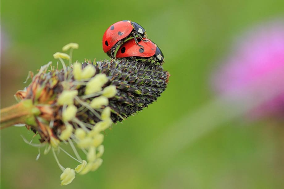 Investigadores estadounidenses indican que el buen sexo dura 13 minutos