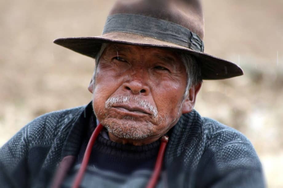 Habitantes de Bolivia mascan coca como alternativa medicinal pero también por sus propiedades nutritivas. / Pixabay