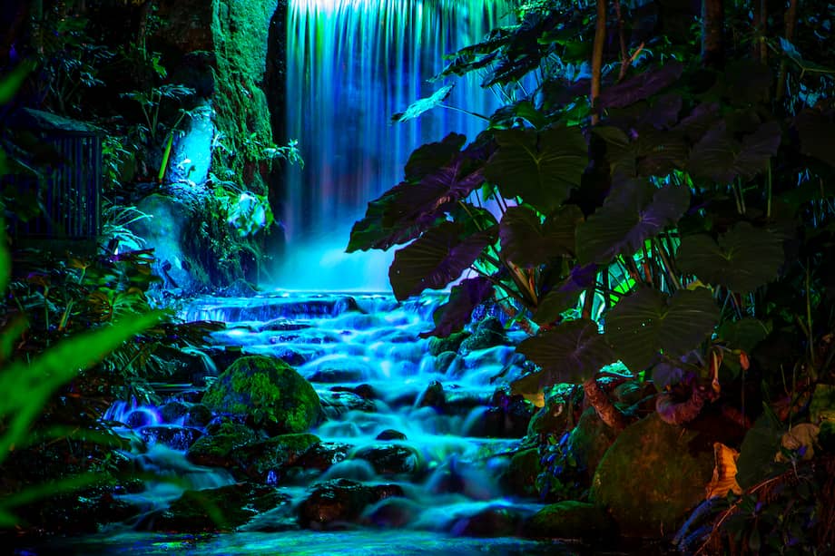 Jardín Botánico de Bogotá