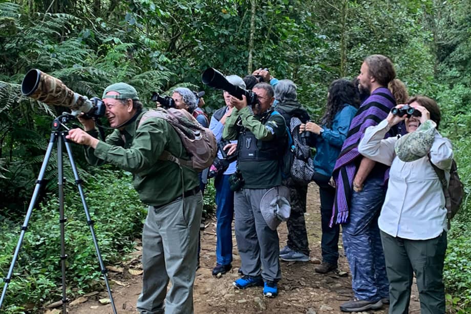 Bajo el lema “Donde hay aves, hay esperanza”, la capital del Valle del Cauca será nuevamente punto de encuentro entre la biodiversidad, la educación ambiental y la cultura ciudadana.