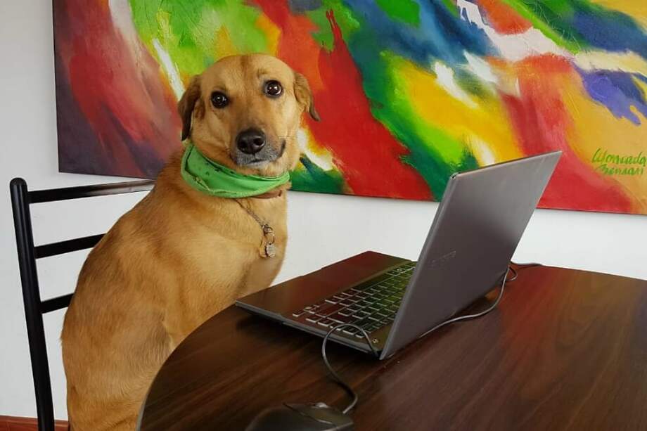 Linda Guacharaca durante sus procesos de escritura. / Cortesía