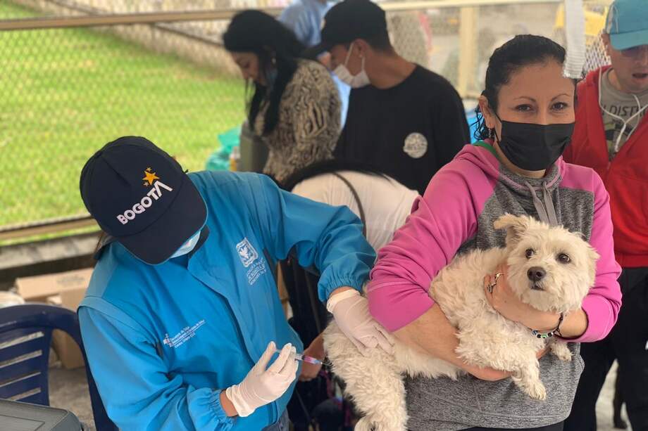 De acuerdo con información de Subredes Integradas de Servicios de Salud de Bogotá, la vacuna contra la rabia debe aplicarse cada año, de por vida.
