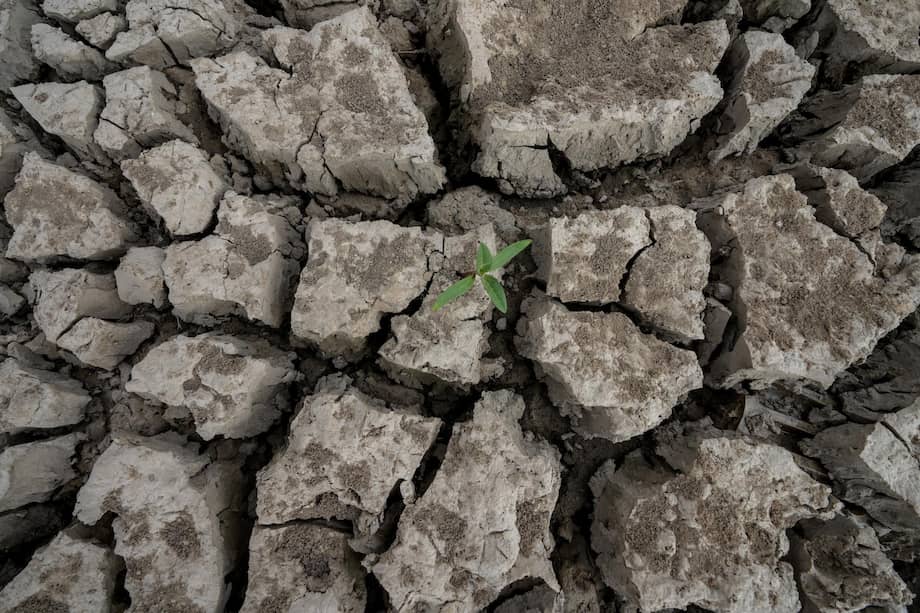 Parte de este plan incluye la socialización de las medidas de mitigación, mediante Mesas Técnicas Agroclimáticas, promovidas por la cartera.