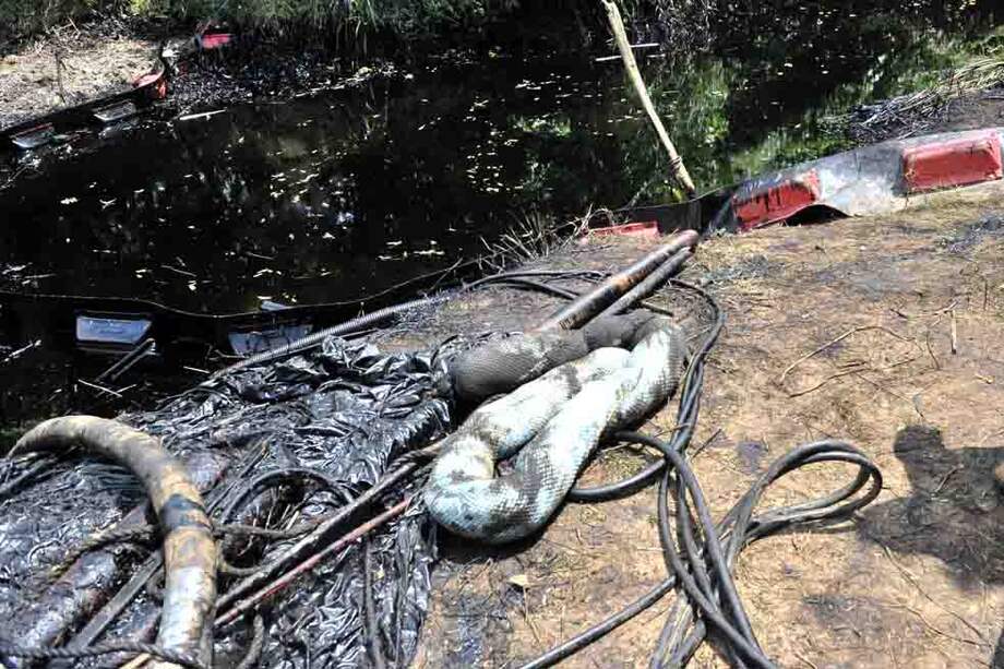 El pasado 6 de septiembre tuvo lugar uno de los mayores derrames que ha sufrido la bahía de Cartagena. La investigación continúa. / Luis Ángel