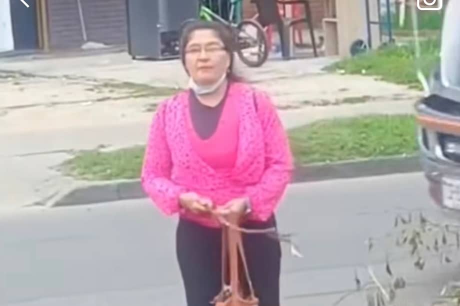 Vecinos denuncian que una sustancia rosada en zonas verdes estaría causando la intoxicación de varios perros en Quiriguá.