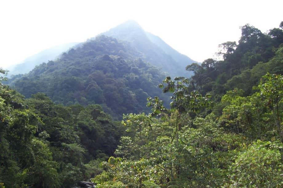 Panorámica de Pance / David Mora / Wikimedia - creative commons