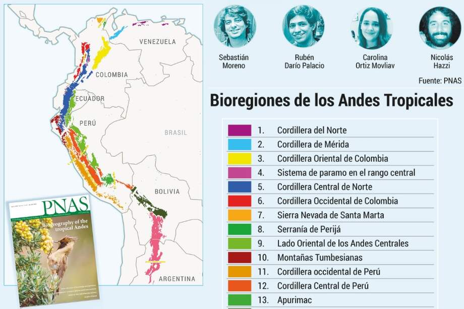 Hace dos años Nicolás Hazzi, Juan Sebastián Moreno, Carolina Ortiz y Rubén Darío Palacios tenían entre 23 y 25 años. Además de ser vecinos de un barrio de Cali, tenían un interés común: la biología. / Jonathan Camilo Bejarano - El Espectador / Información PNAS