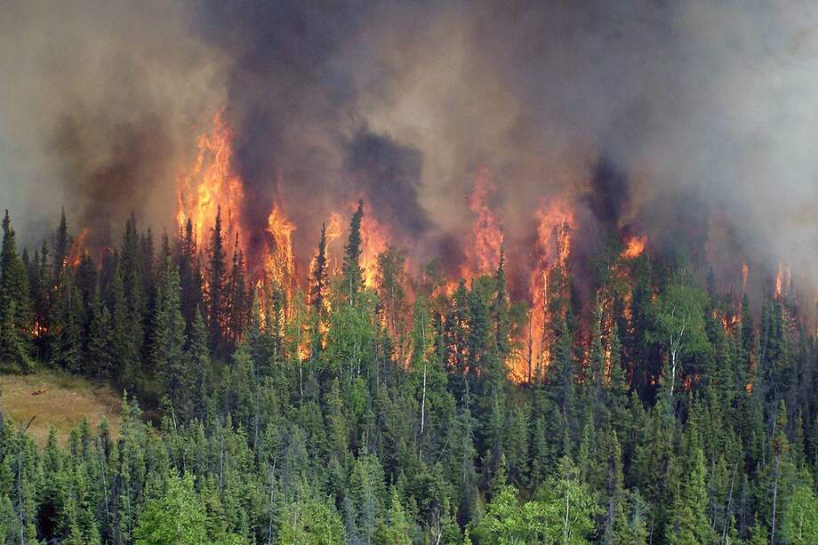 Incendio en un bosque boreal en Alaska.