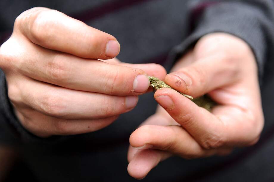 El 24% de los consumidores de marihuana a nivel mundial se encuentran en América. En países como Estados Unidos y Canadá el 14% de la población ha consumido este estupefaciente. / Andrés Torres