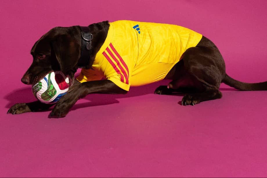 A un poco más de un mes de la Copa del Mundo 2026, las marcas asumen el papel de las mascotas en el mundo actual.