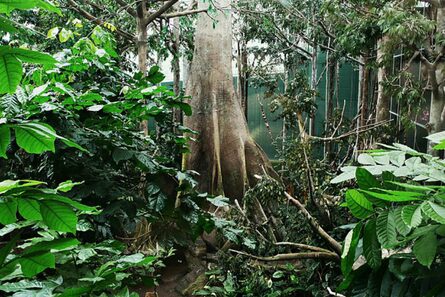 Las regiones con mayor biodiversidad son las más vulnerables al cambio climático