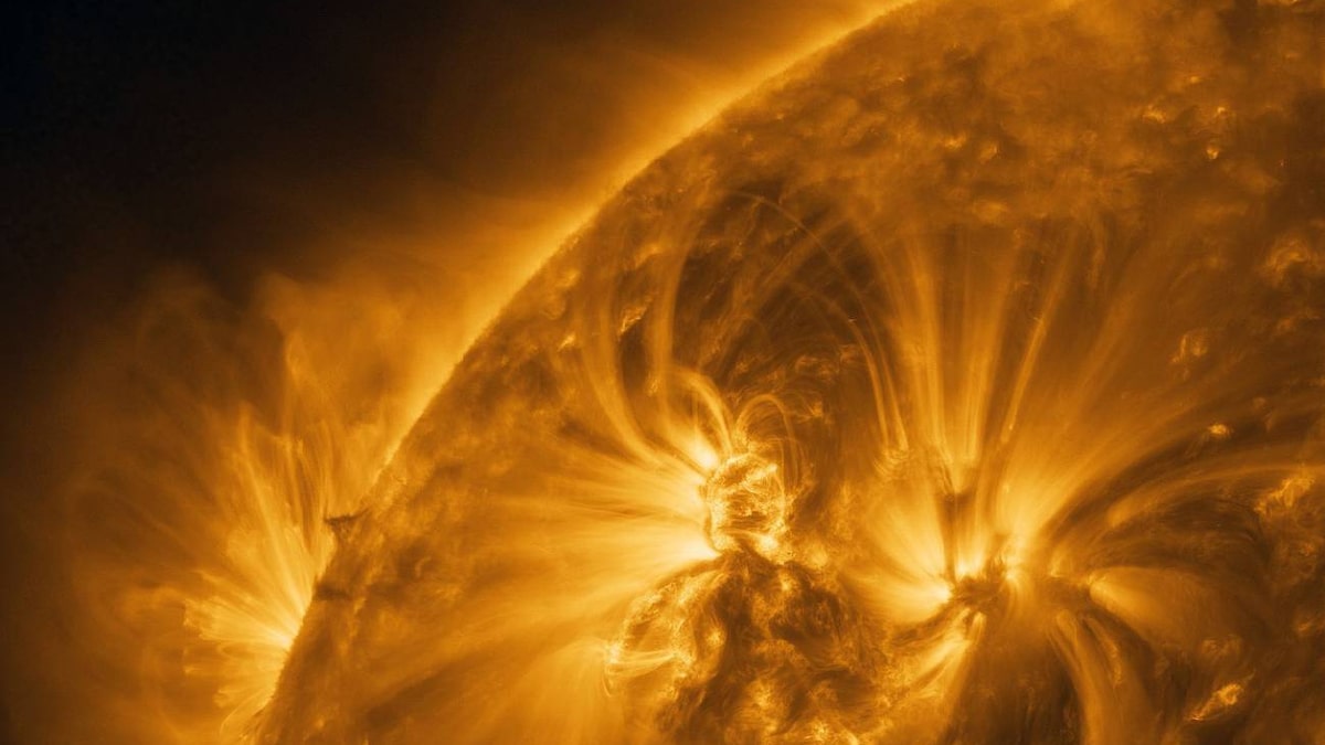 El campo magnético del sol podría invertirse pronto, ¿qué implica? | Noticias Hoy | | EL ESPECTADOR