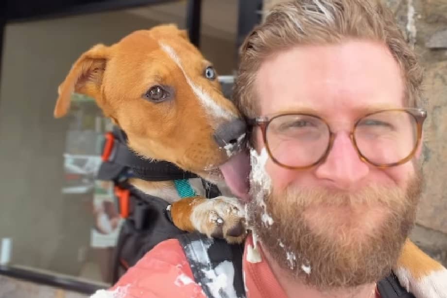 El creador Bryan Reisberg sale a caminar cada semana por la ciudad llevando en su espalda a perritos del refugio Best Friends Pet Adoption Center.