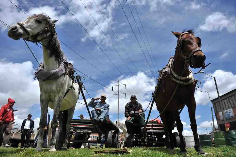 Carreteros en la Plaza de Bolívar. / David Campuzano