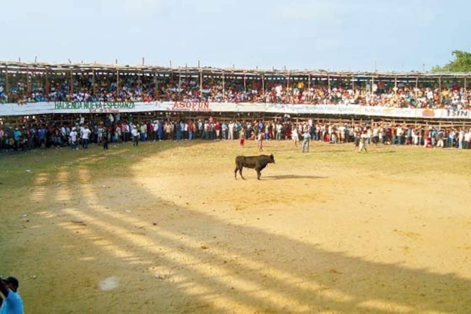 Habitantes de Arjona, Bolívar, dijeron sí a las corralejas en la población