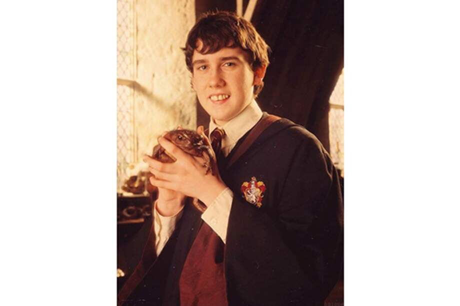 El actor Matthew Lewis como Neville Longbottom en "Harry Potter y el prisionero de Azkaban" (2004).
/ Bang Showbiz