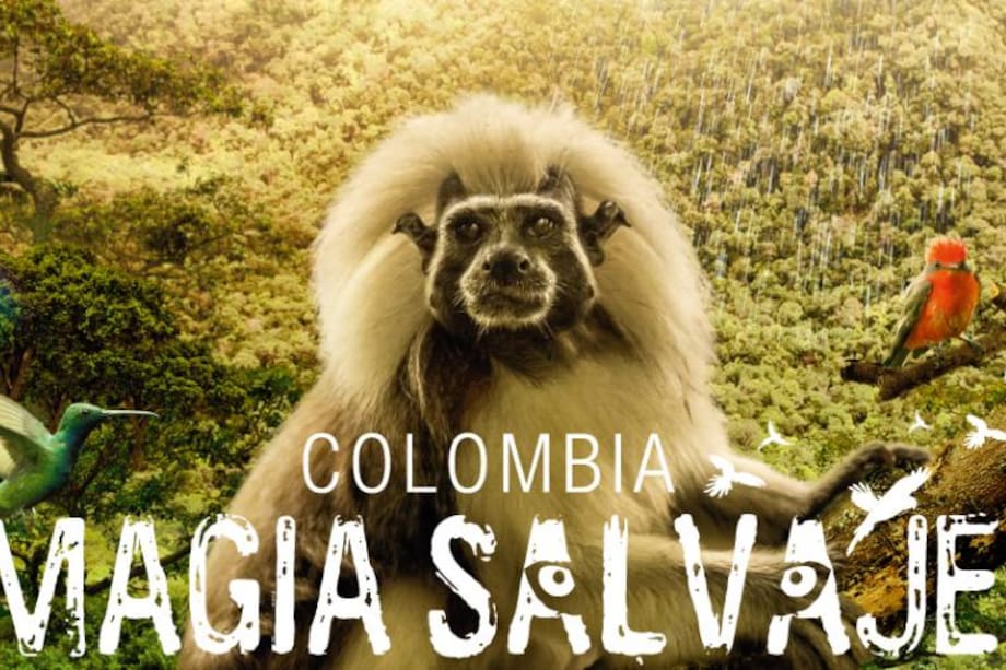 Fonseca y Carlos Vives le cantan a la magia salvaje colombiana