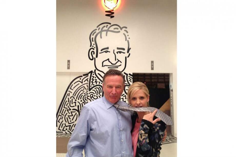 La compañera de set de Robin Williams en la serie "The Crazy Ones"/ Tomada de Facebook de Robin Williams