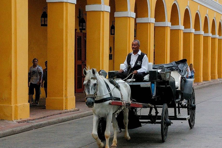 El centro histórico de Cartagena dejará de operar con tracción animal tras la entrada en vigencia del decreto que regulará el transporte turístico.