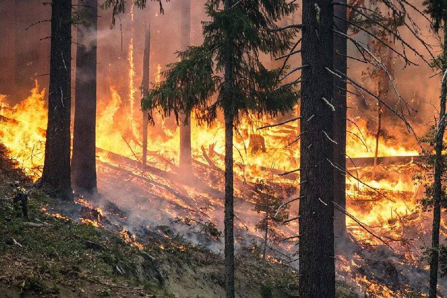 Imagen de referencia / Pixabay