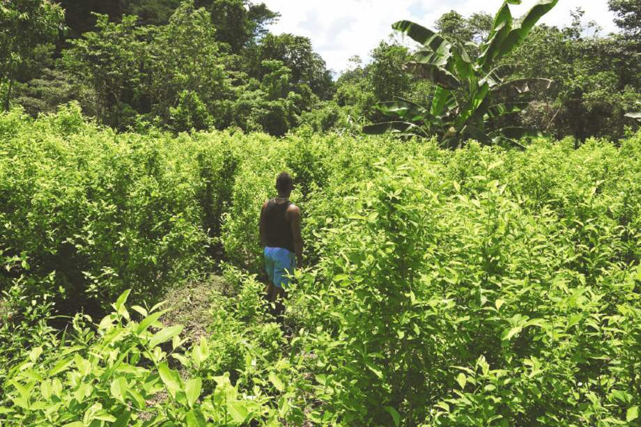 El Consejo Comunitario de Alta Mira y Frontera está habitado por unas 8.500 personas. / Gustavo Torrijos