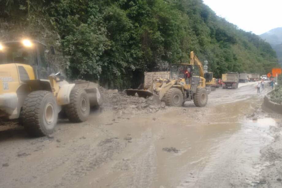 Imagen de referencia. / Cortesía - @Coviandes