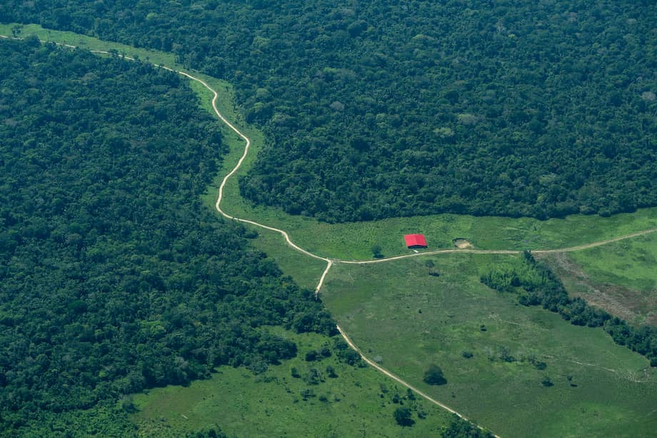 En esta imagen se observa un terreno al interior del PNN Tinigua donde hay vías y casas.