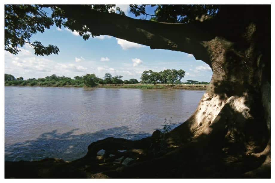 Río Amazonas .