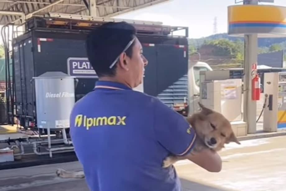 Los perros reciben alimento, cuidado y compañía de trabajadores y conductores que visitan la estación.