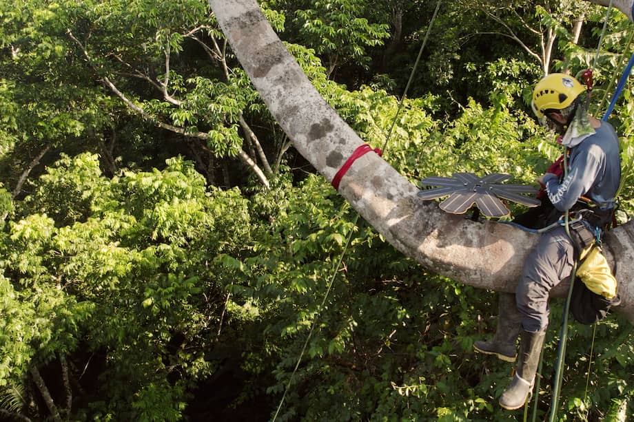 Gracias a la nube, a las torres de telecomunicaciones de la región y en algunas zonas a la conectividad satelital, se monitorea segundo a segundo y en tiempo real lo que ocurre en la zona que se cubre.