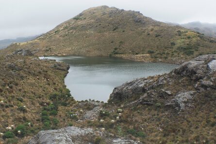 Amplían plazo de consulta pública para la creación de reserva temporal en Santurbán