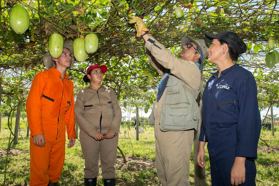 El programa es un ejemplo de construcción de país.