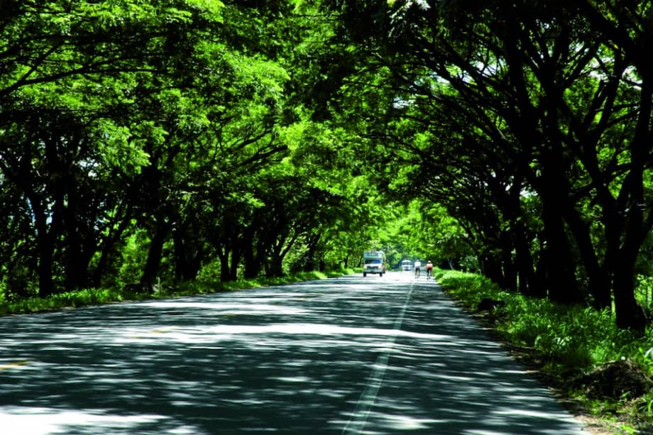 Ministerio de Comercio, Industria y Turismo.