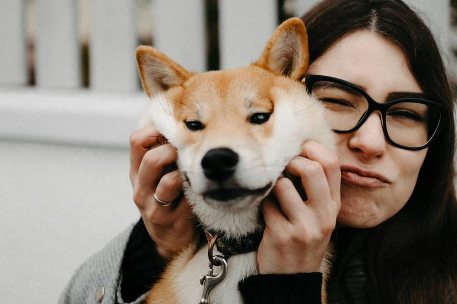 Los expertos afirman que otra forma en que los perros pueden beneficiar la salud y la longevidad de las personas es mejorar el bienestar mental.