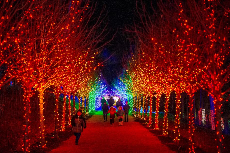 Cerca de 200.000 luces decoran un paraíso invernal por donde la gente camina en Naumkeag, en Stockbridge, Massachusetts, la ciudad navideña número uno en Estados Unidos.