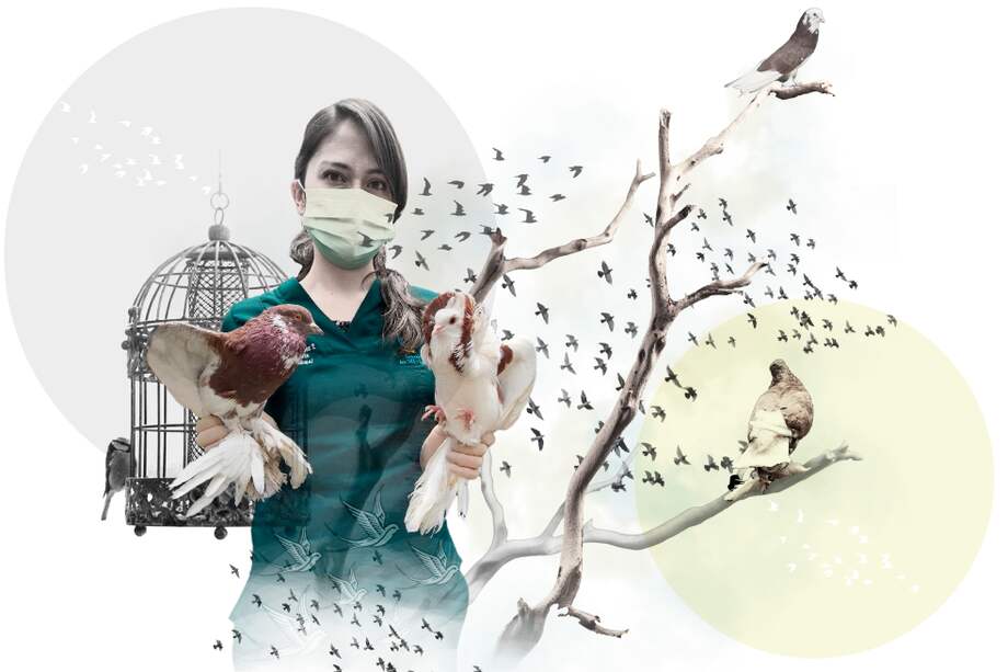 Evelyn Martínez, médica veterinaria de la Universidad Nacional de Colombia con experiencia en medicina, crianza y rehabilitación de aves silvestres, exóticas y ornamentales, abrió esta fundación en 2019.