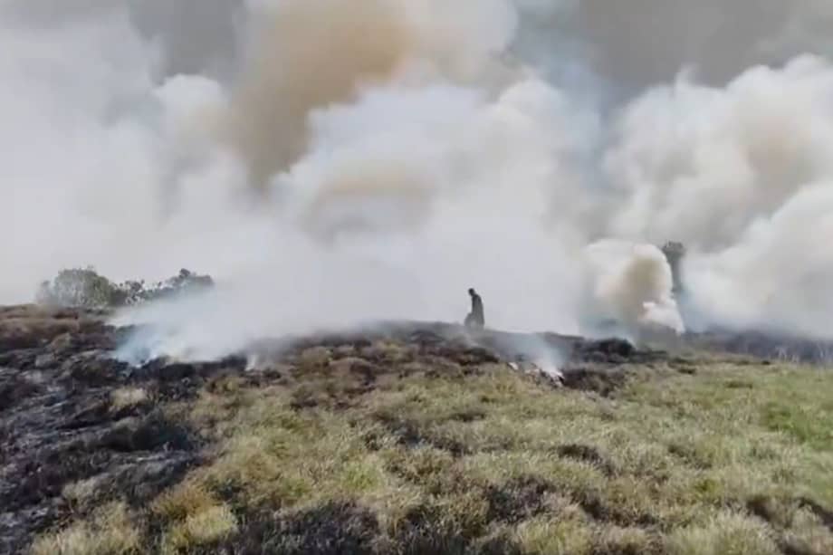 Bomberos de Bogotá y Cota trabajan para controlar el incendio forestal registrado en el humedal Jaboque, con apoyo de drones y la Defensa Civil.