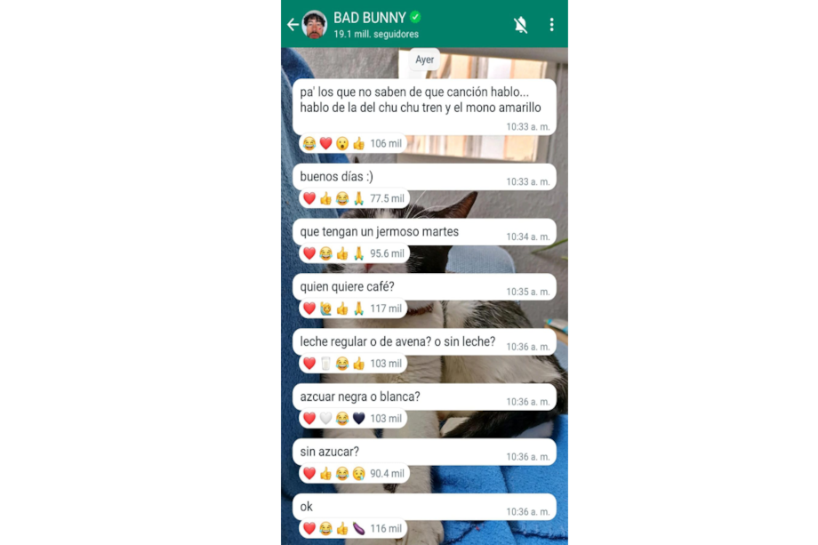 Canal de WhatsApp de Bad Bunny del 07 de noviembre de 2023.